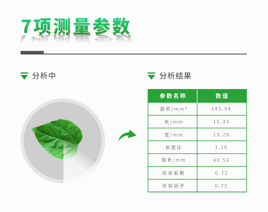 活体叶面积测定仪